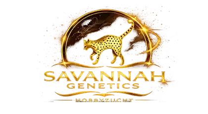 Savannah Genetics Logo – Savannah Katzen Zucht Deutschland