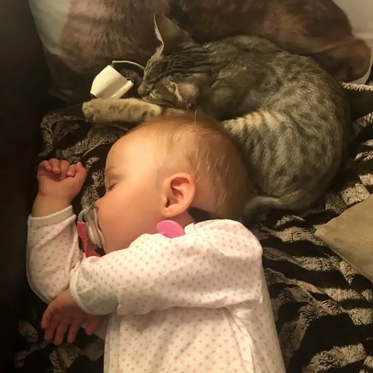 Savannah Katze schläft neben Baby als Beispiel für Einfühlsamkeit und emotionale Nähe